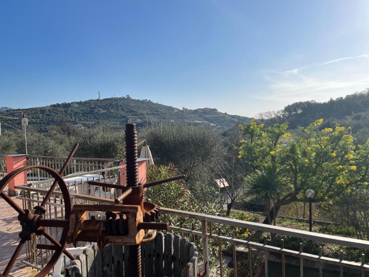 Farm stay Agriturismo Le Mimose
